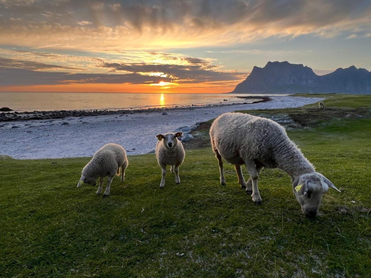 Real Fisherman'S Cabins In Ballstad, Lofoten Екстер'єр фото